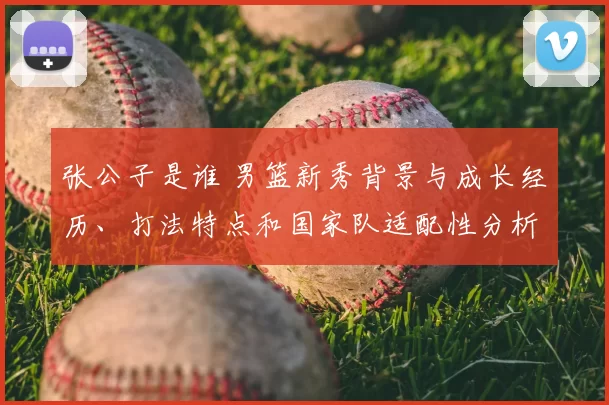 张公子是谁 男篮新秀背景与成长经历、打法特点和国家队适配性分析