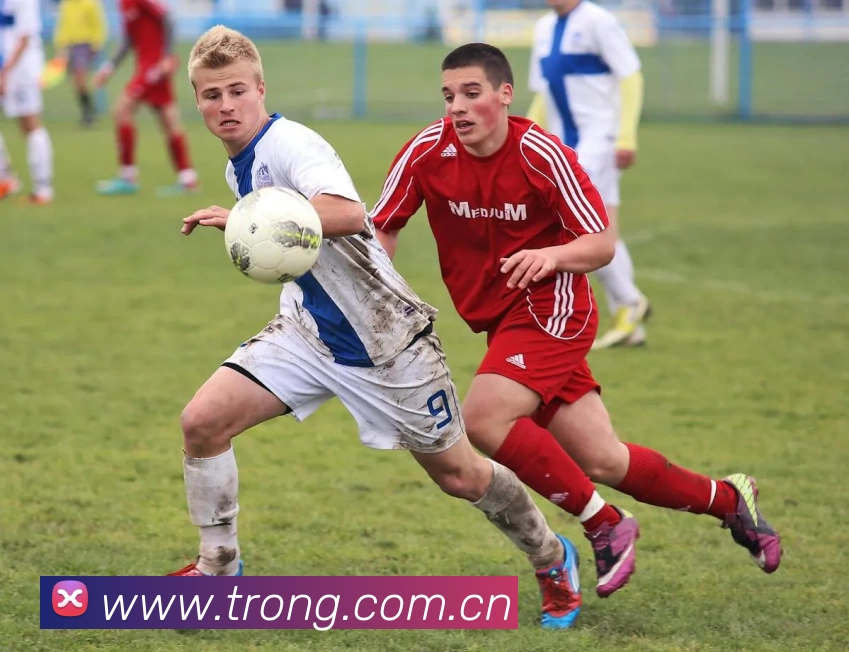 乐动网 - 乐动(中国)一站式服务官网APP 高清赛事图